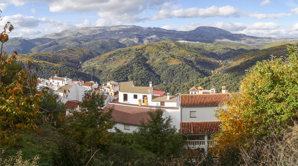 Pujerra