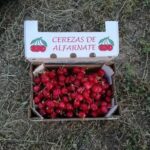 Alfarnate cherries