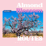 Almond Blossom Routes in Malaga