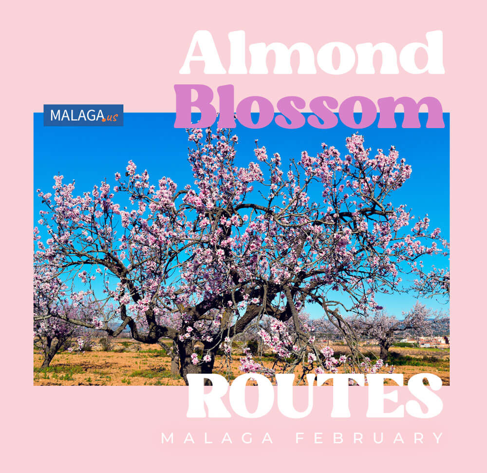 Almond Blossom Routes in Malaga