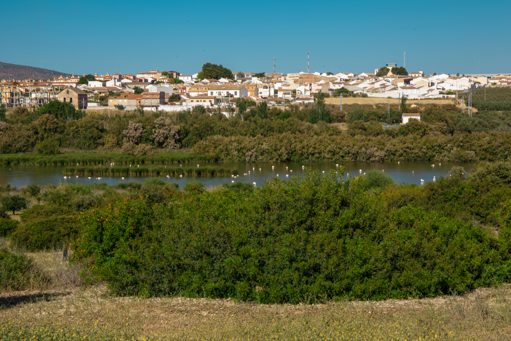 Fuente de Piedra